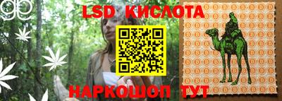 индика Донецк