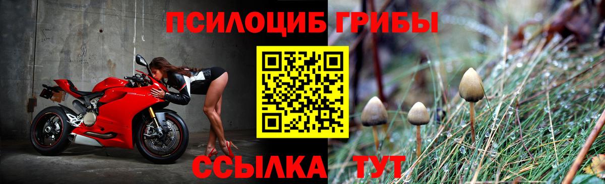 купить наркоту  Вход с VPN  Мариинск  Псилоцибиновые грибы ЛСД  Галлюциногенные грибы GOLDEN TEACHER 