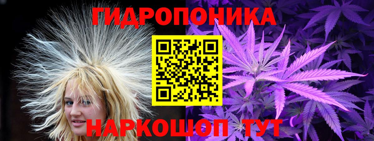 МАРИХУАНА конопля Мариинск
